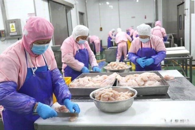 中国人寿财险为预制菜提供专属定制服务--保障食品安全 护航产业发展